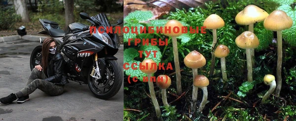 прущая мука Белоозёрский