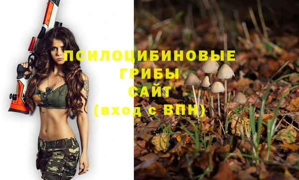 ешки Беломорск