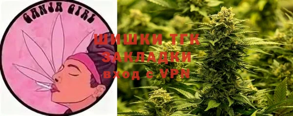 прущие крисы Белокуриха