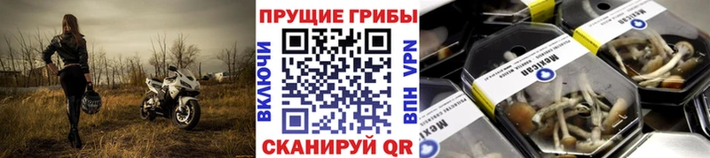 Галлюциногенные грибы мицелий  Нижняя Тура 